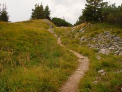 2013-08-25_Risserkogel (220).JPG